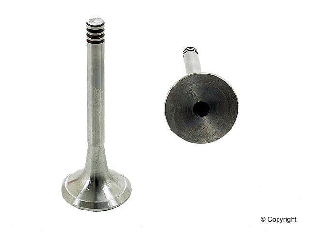 Exhaust Valve