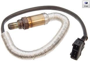 Oxygen Sensor