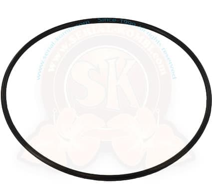 O-ring in side of differential flange on manual transmission VW Bus from 68-79 and all manual Vanagon