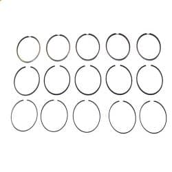 Piston Ring Set for 92-95 Eurovan with 5-cylinder 2.5l Engine- Standard